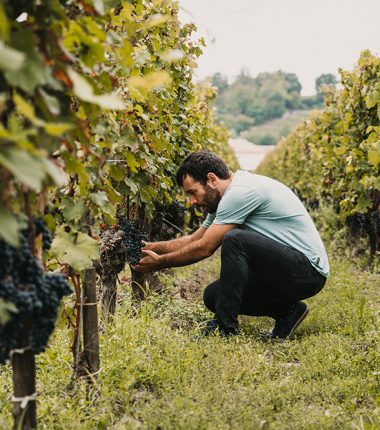 Un producteur du terroir