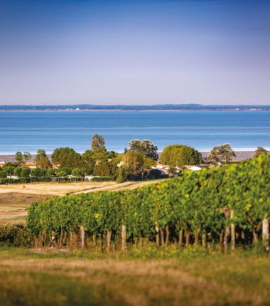 Label Vignobles & découvertes