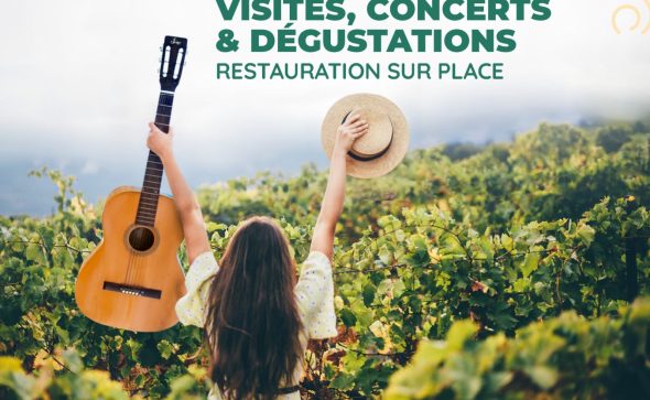 Festi’Vignobles : un évènement au cœur des Vignobles Royan AtlantiquE