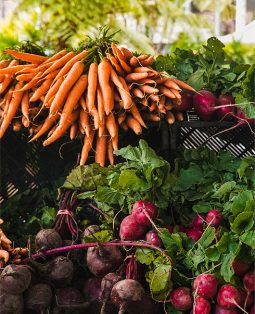 Promouvoir les Produits Locaux dans la Restauration Hors Domicile à Royan Atlantique