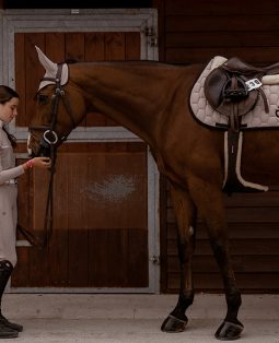 Rayonnement de la filière équestre sur Royan Atlantique